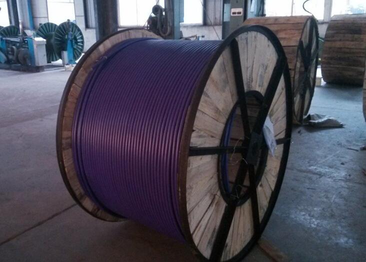 Purple anti mouse optical cable